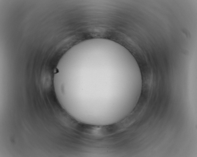 X0000113870130200910081734