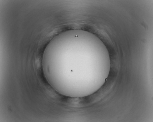 X0000113870131200910081734