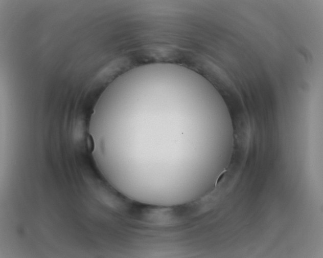 X0000113870132200910081734