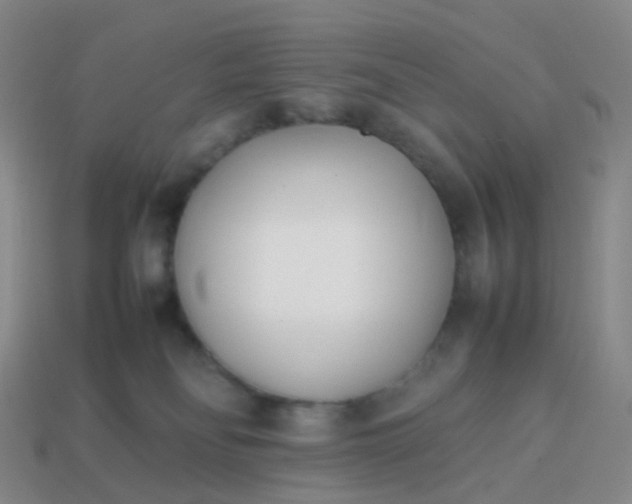 X0000113870134200910081734