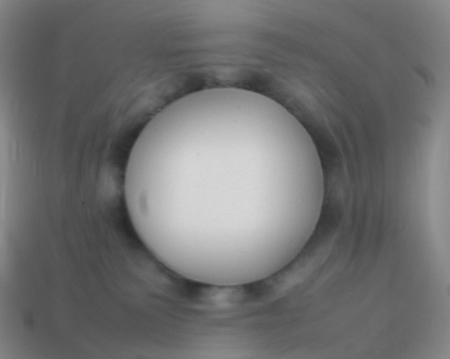 X0000113870135200910081734