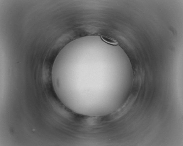 X0000113870136200910081734