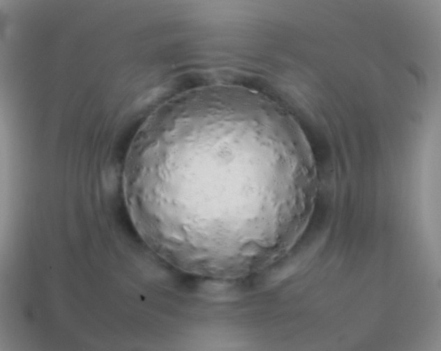 X0000113870139200910081734