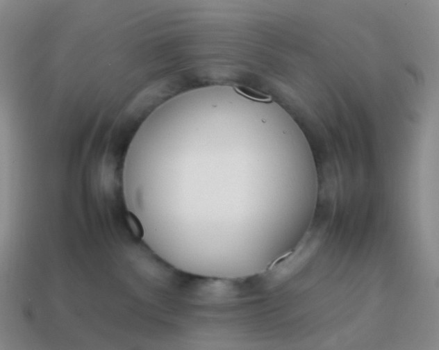 X0000113870140200910081734