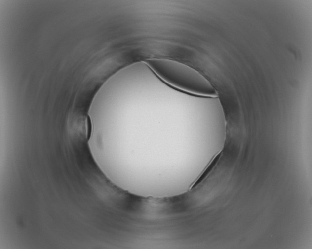 X0000113870141200910081734