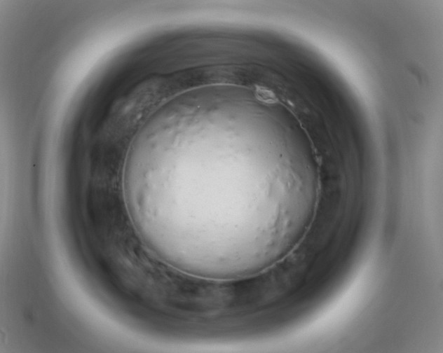 X0000113870143200910081734