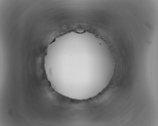 X0000113870144200910081734