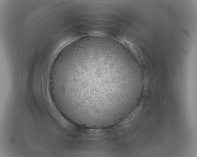 X0000113870145200910081733