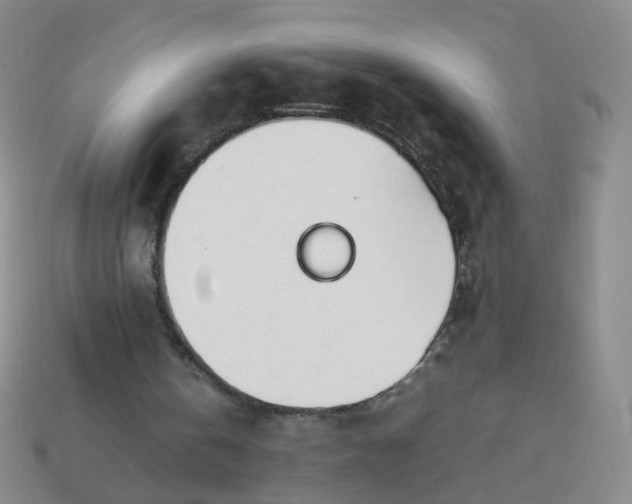 X0000113870146200910081733