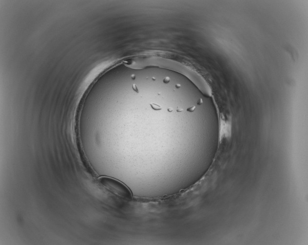 X0000113870147200910081733