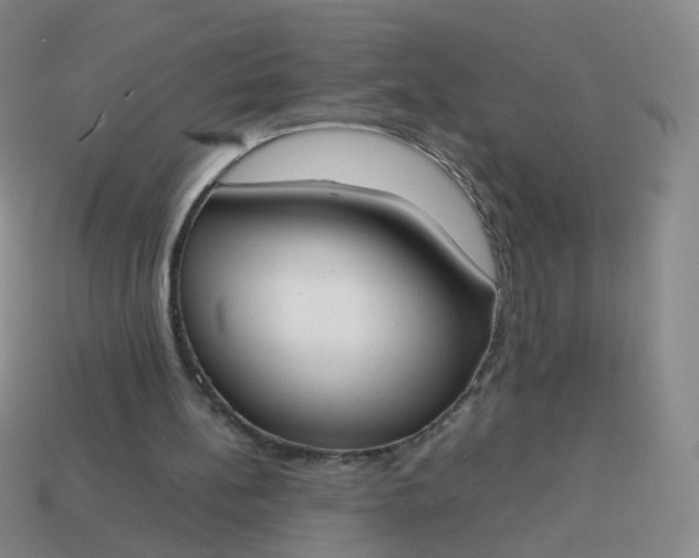 X0000113870148200910081733