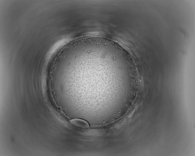 X0000113870149200910081733