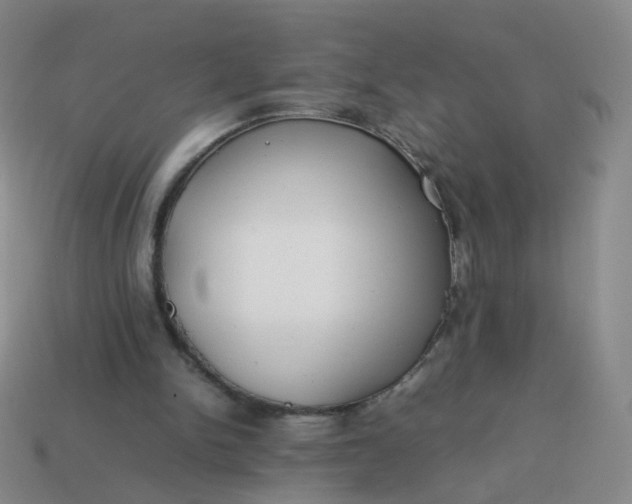 X0000113870150200910081733