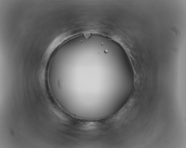 X0000113870151200910081733