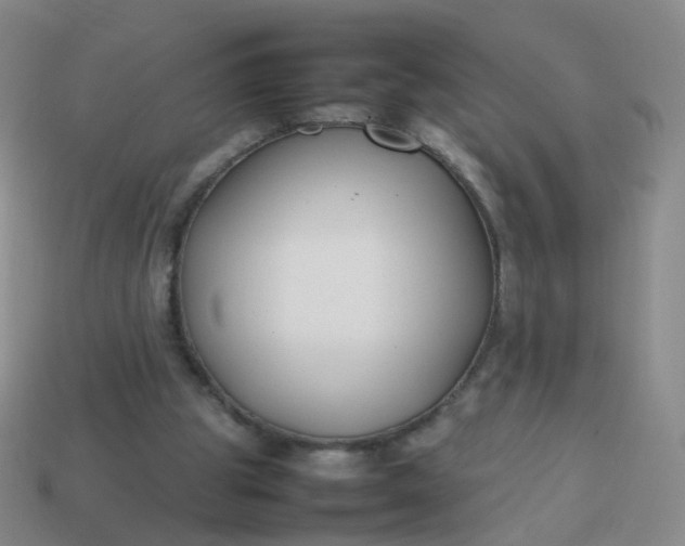 X0000113870153200910081734