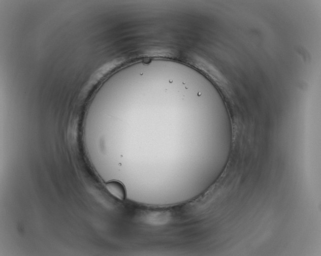 X0000113870155200910081734