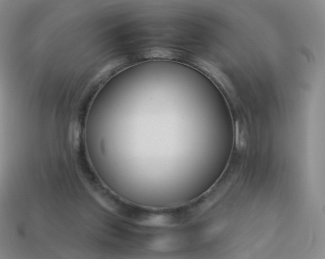 X0000113870157200910081734