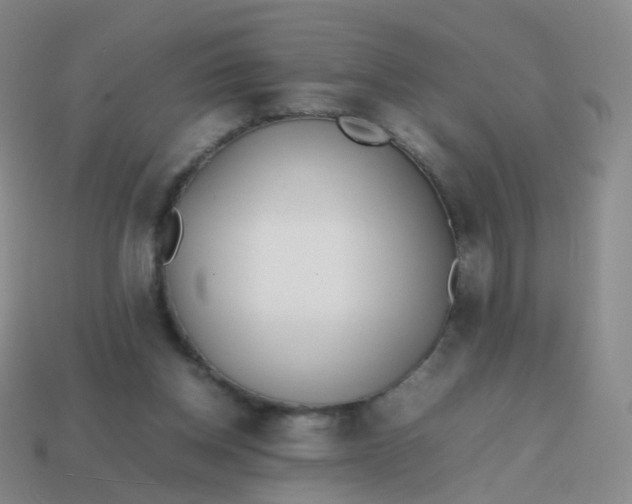 X0000113870158200910081734