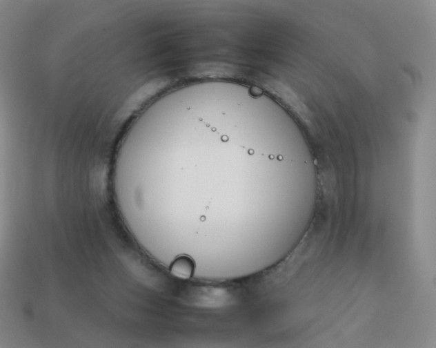 X0000113870159200910081734