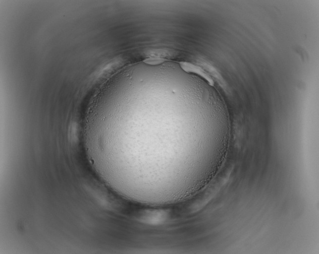 X0000113870161200910081734