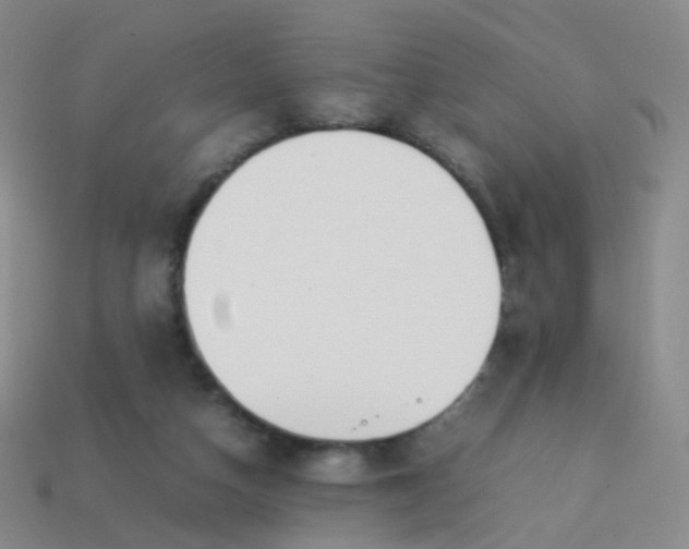 X0000113870162200910081734