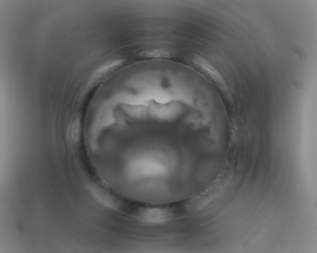 X0000113870163200910081734