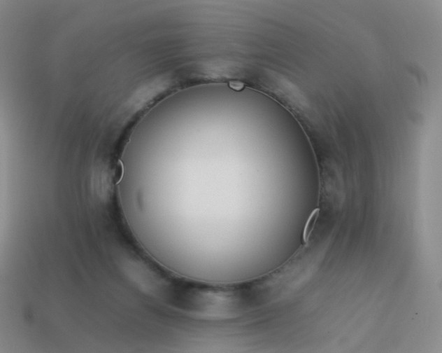 X0000113870164200910081734