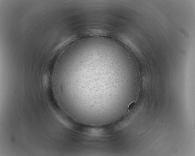 X0000113870165200910081734