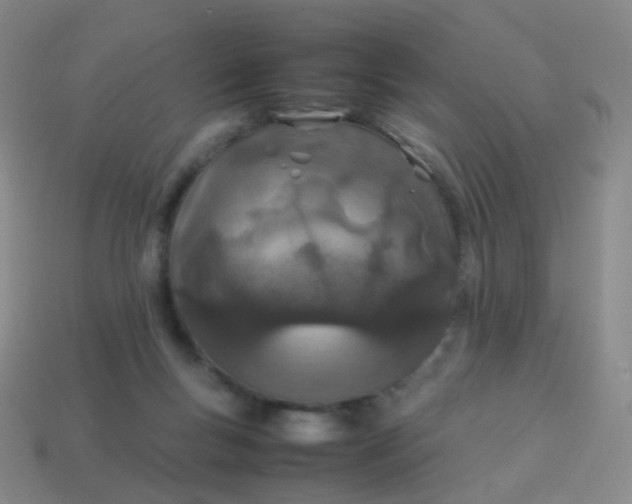 X0000113870167200910081734