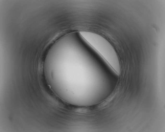 X0000113870168200910081734