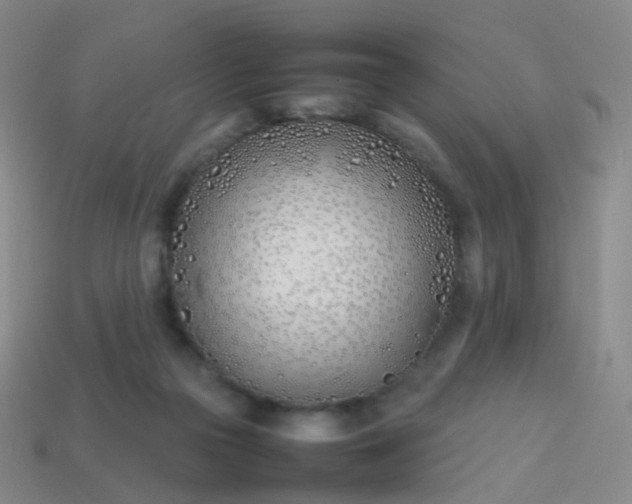 X0000113870169200910081734