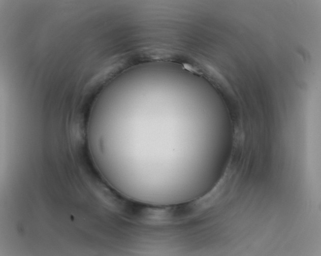 X0000113870170200910081734