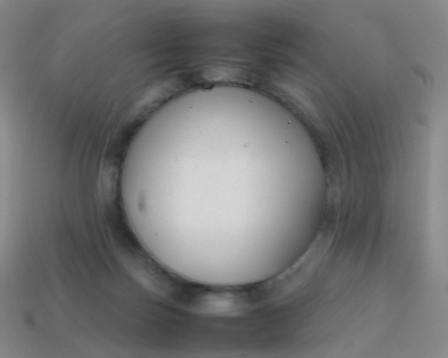 X0000113870171200910081734