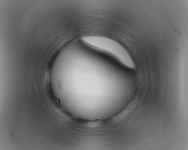 X0000113870172200910081734