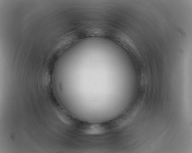 X0000113870173200910081734