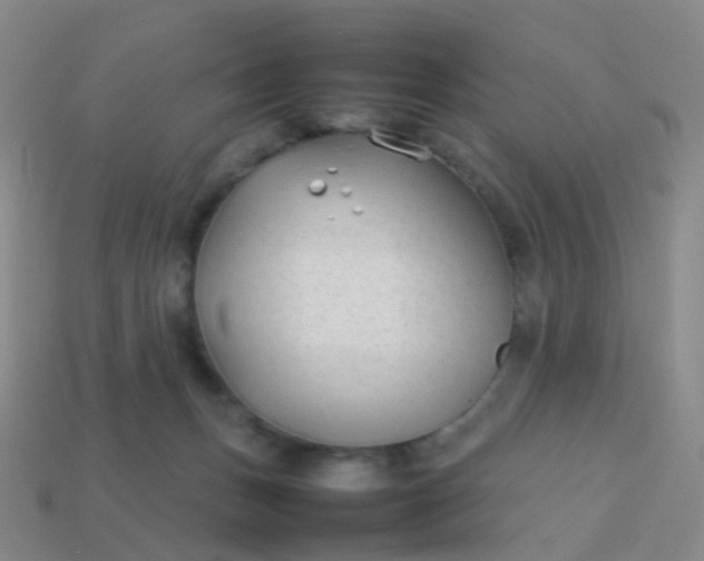 X0000113870175200910081734