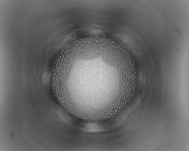 X0000113870177200910081734