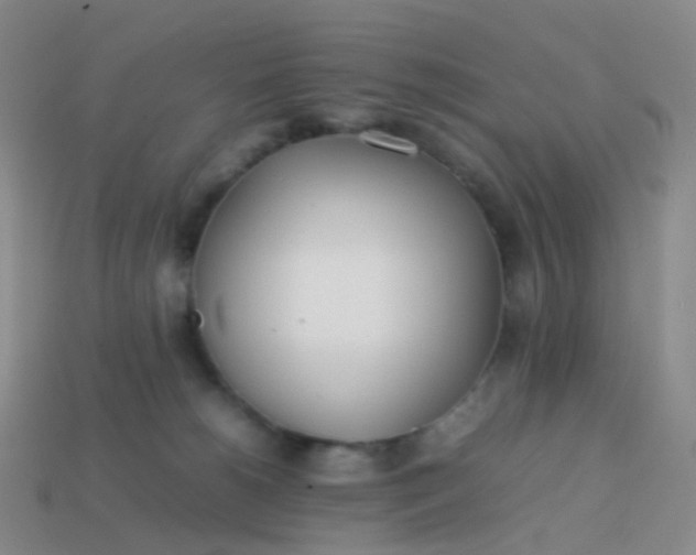 X0000113870180200910081734