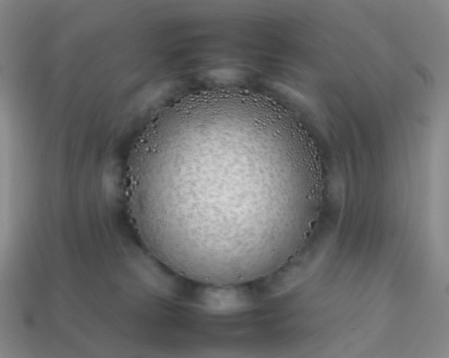 X0000113870181200910081734