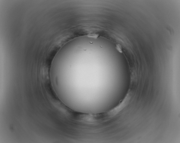 X0000113870182200910081734