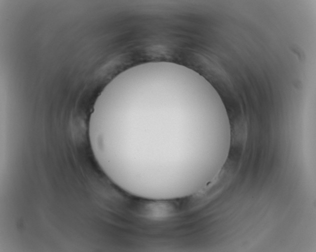 X0000113870183200910081734