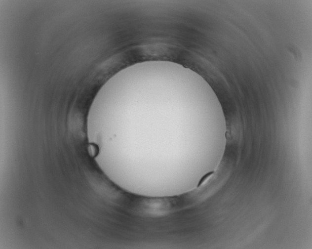 X0000113870187200910081734