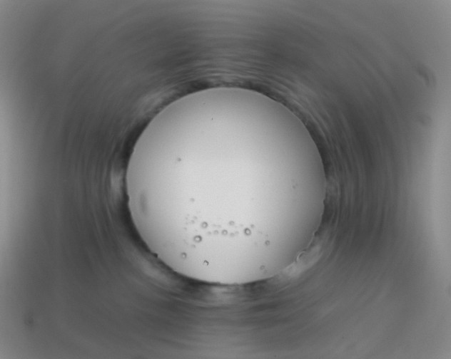 X0000113870188200910081734