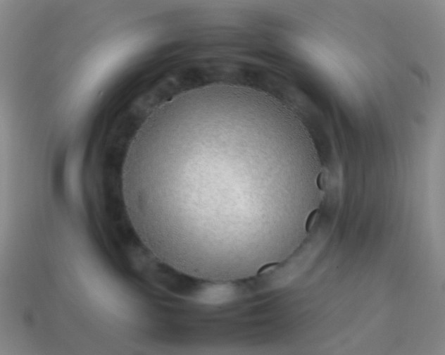 X0000113870189200910081734