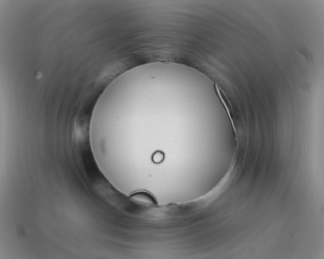 X0000113870190200910081734