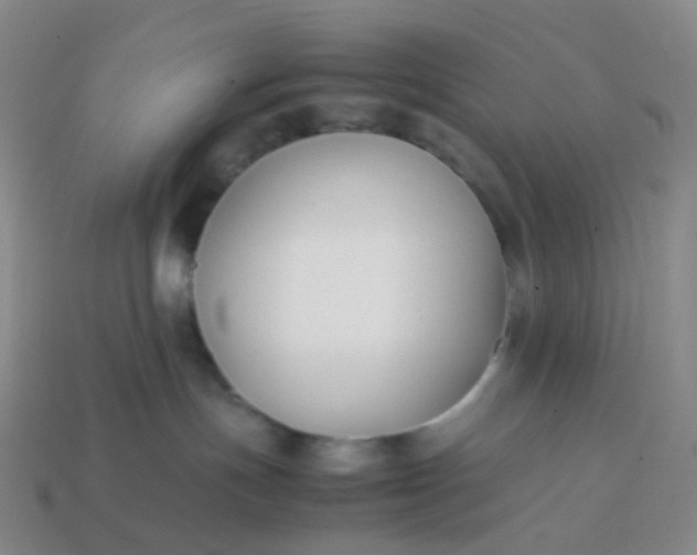 X0000113870191200910081734