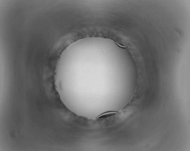 X0000113870192200910081734