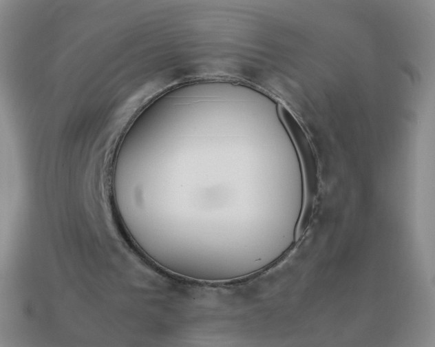 X0000113870193200910081733