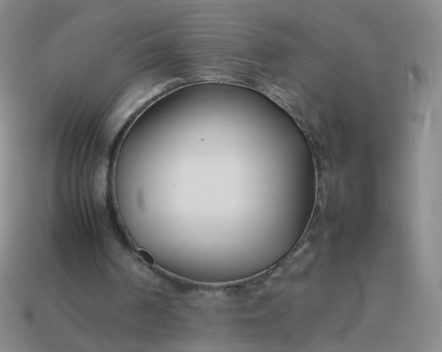 X0000113870194200910081733