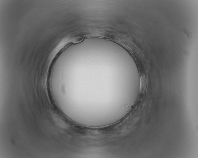 X0000113870195200910081733